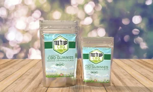 CBD Sugar Free Gummies - Orange Creamsicle Flavored