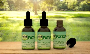 CBD Pet Tinctures