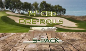 1 Gram CBD Pre-Roll 5 Pack