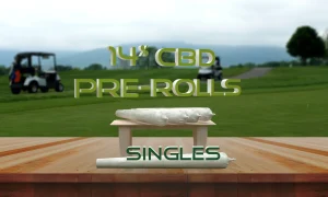 1 Gram CBD Pre-Roll - Single