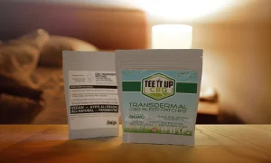 Nano CBD Transdermal Sleep Patch
